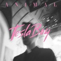 Animal_Tesla Boy