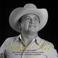 Ya No Le Camino Màs_Walter Silva