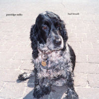 www._Porridge Radio