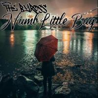 Numb Little Bug_The Byross,Andrew DeCaro,Emily Beihold,Nick Lopez