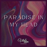 Paradise In My Head_Omar,Vital EDM
