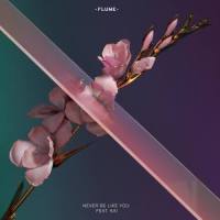 Never Be Like You_Flume,KAI