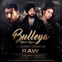 Bulleya_Shahid Mallya,Sohail Sen,Rabbi Shergill