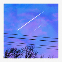 Dance Delight_Wherefore,初音未来,Romeo Gilbert,Waylin Owsley