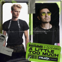 A Little Too Much_BASTIAAN,DJ Shaan,Faustix