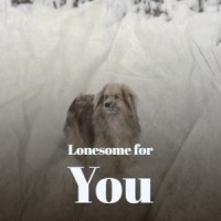 Hey Boy_Roy Brown