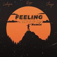 Feeling_Ladipoe,Buju,Boris David SASSOU,Shayn