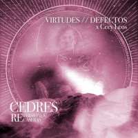 Virtudes // Defectos_CEDRES,Cecy Leos,César Andrés Villarán,Alejandra Duarte