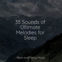 Autumn Love_White Noise Sleep Sounds,Meditation Awareness,Pink Noise