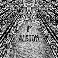 Albion_Cam Cole
