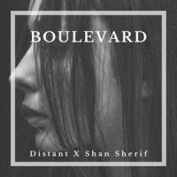 Boulevard_Shan Sherif,Distant