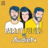 This Is How We Do It(feat. Audien)_Party Pupils,Audien