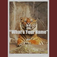 What's Your Name_董唧唧