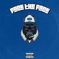 Face The Face (feat. THE DRIVER ERA, Tyrone Wells & Bahari)_Dilanla P,The Driver Era,Tyrone Wells,Bahari