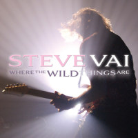 Paint Me Your Face_Steve Vai