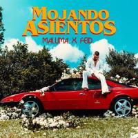 Mojando Asientos_Maluma,Feid