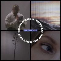 Calling On Me_Sean Paul,Tove Lo