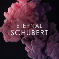 Schubert: Quartet for flute, viola, guitar and violoncello in G major, D 96 (Anh.II,2) - 4. Zingara. Andantino - Trio_Göran Söllscher,Wolfgang Schulz,Wolfram Christ,Georg Faust