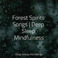 Sound of Sleeping_Mindfulness Meditation Universe,Relaxed Minds,Sleepy Times