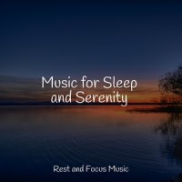 Forest Twilight_Trouble Sleeping Music Universe,White Noise Baby Sleep,Deep Sleep