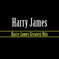 Every Day Of My Love_Harry James