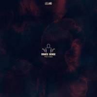 Makes Sense_Leland,Thomas Klingensmith,Hiddenoasis