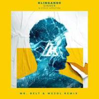 Sinner_Klingande,Stevie Appleton