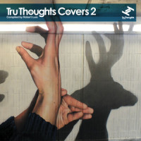 Doo Wop_Quantic,Anita Tijoux