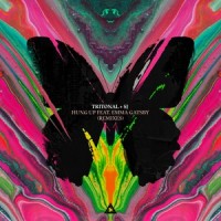 Hung Up_Tritonal,SJ,Emma Gatsby,Marcus Santoro
