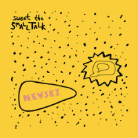 Sweat the Small Talk_Newski,Brett Newski