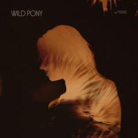 Larchmont(feat. Leucadia)_Wild Pony,Leucadia