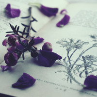 When I Think about You_Mellow