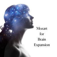 Mozart: Mozart: Adagio and Rondo for Glass Harmonica, Flute, Oboe, Viola, and Cello in C minor, K.617: 2. Rondo_Bruno Hoffmann,Aurèle Nicolet,Heinz Holliger,Karl Schouten,Jean Decroos