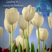 Symphony No. 1 In C Major, Op. 21- III Menuetto- Allegro molto e vivace - Ludwig Van Beethoven (8D Binaural Remastered - Music Therapy)_Ludwig van Beethoven