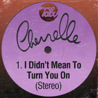 I Didn't Mean To Turn You On_Cherrelle