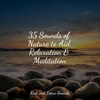 Away From the Chaos_Entspannungsmusik,Meditation Relaxation Club,Pink Noise