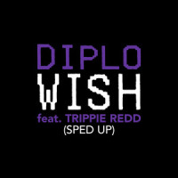 Wish_Diplo