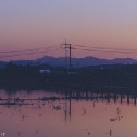 afternoon_Brian Tuey