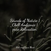 Kiss in the Spring_Deep Sleep,Brain Study Music Guys,Massage Tribe