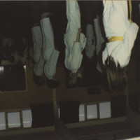 End of the World_Jaws