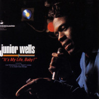 It's My Life, Baby_Junior Wells