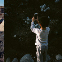 Life, and Another_Mega Bog