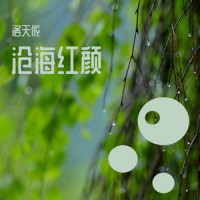 沧海红颜_洛天依