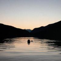 Gone (Away)_Ryan Harris