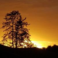 I Confess_Yellow Monday