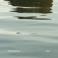 Bees_Matt Robertson