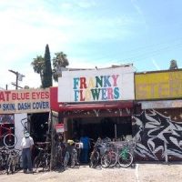 The Bay_Franky Flowers