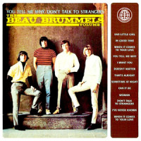 Doesn't Matter_The Beau Brummels