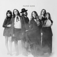 Limitless_Paper Bird