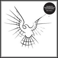 See the Moon_North Mississippi Allstars